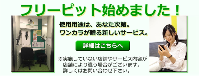 フリーピット始めました