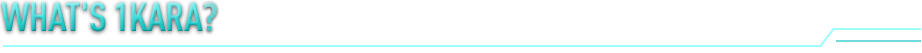 WHAT'S 1KARA ワンカラとは