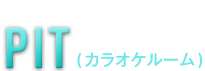 プロ仕様で歌うPIT(カラオケルーム)